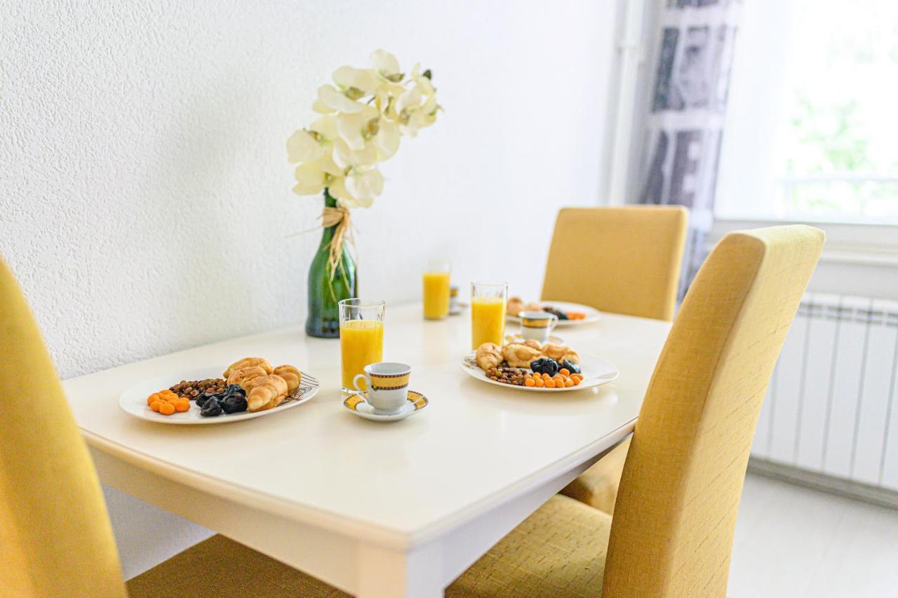 사라예보 Beautiful Cozy Studio Close To City Center 아파트 외부 사진